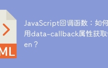 JavaScript回调函数：如何使用data-callback属性获取token？