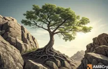 在过去一周中，Makerdao [MKR]上涨了6.7％。