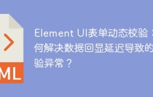 Element UI表单动态校验：如何解决数据回显延迟导致的校验异常？