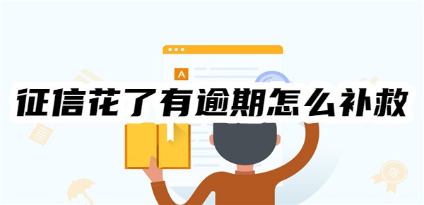 最强攻略：征信花了有逾期怎么补救？十大有效补救措施