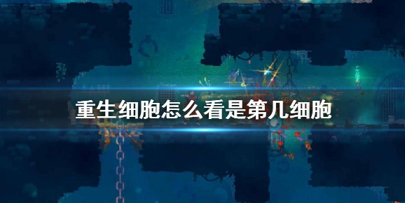 重生细胞怎么看自己是几细胞 游戏阶段查看方法