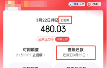【2025】京东白条可以申请延期还款吗？4个步骤图！另有三大延期方法
