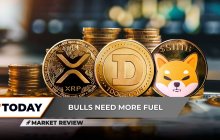 Shiba Inu（Shib）已通过其最重要的年度支持水平正式破坏