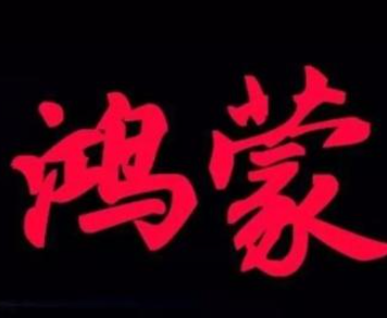 微信鸿蒙版本怎么放大字体设置 微信鸿蒙版本字体大小设置教程