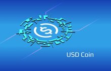 索尼电子新加坡宣布支持美元硬币（USDC）付款