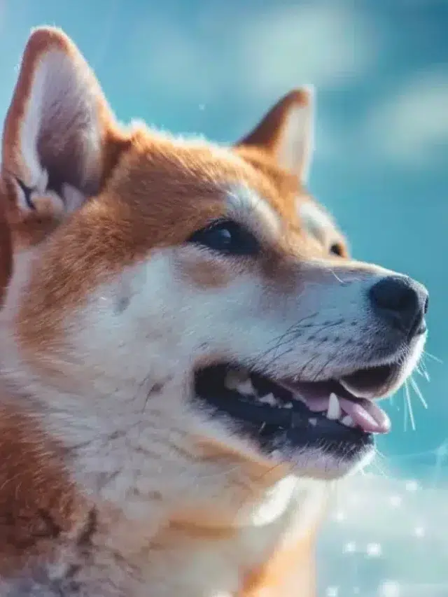 随着埃隆·马斯克(Elon Musk)的失望