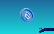 SUI发出信号看涨逆转：如果价格上涨，则预计会议