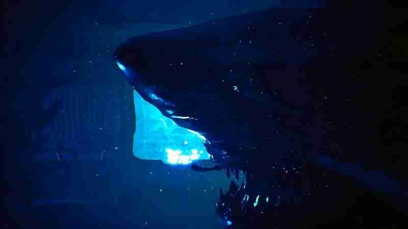 《深渊恐惧》4月18日Steam上线！深海与黑暗才是最大的敌人