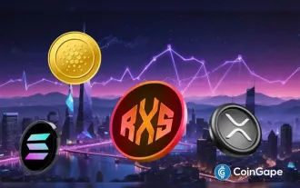 Rexas Finance(RXS)可以在2025年超過Solana(Sol),Cardano(ADA),XRP和Dogecoin(Doge)