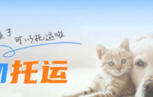 12306宠物托运需要什么手续 12306宠物托运下单步骤