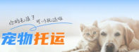 12306宠物托运需要什么手续 12306宠物托运下单步骤