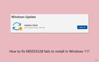 KB5055528을 수정하는 방법 Windows 11에 설치되지 않습니까?