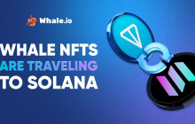 鲸鱼NFT桥上的直播：TON到Solana移民在Bridgemedaddy.com上发布