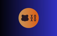 Berachain看到3亿美元的流出，令牌和用户数量下降