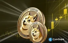 Dogecoin（Doge）的价格逆转为新的历史高