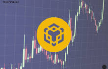 Binance Coin（BNB）表现出令人印象深刻的弹性，因为它牢固地保持着关键的支持水平