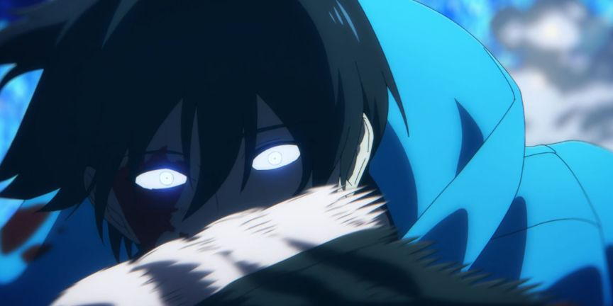 Fire Force: Watching Order