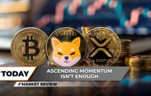 Shiba Inu（Shib）仍在调情，前景会增加