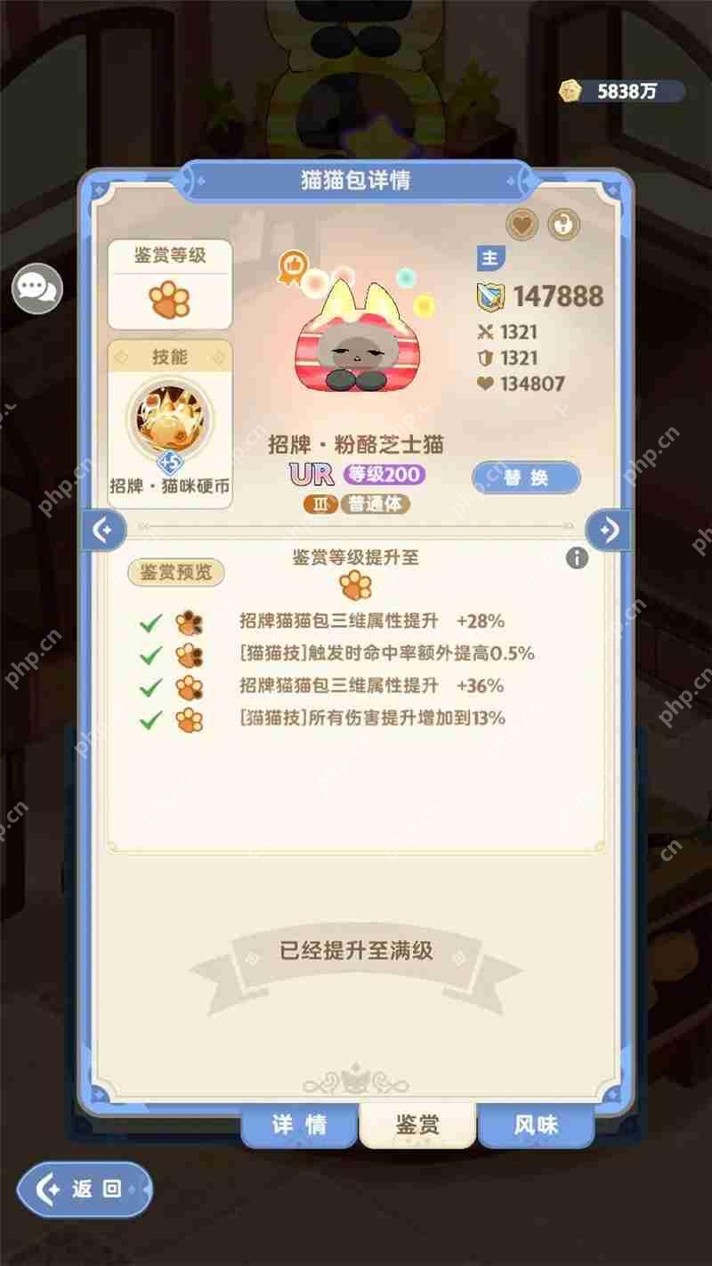 出发吧麦芬猫猫包玩法攻略指南