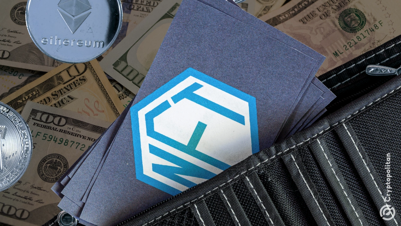 Waylon Wilcox认罪,藏着1300万美元的Cryptopunks NFT利润