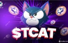 Troller Cat（$ TCAT）承诺作为下一个大模因硬币的爆炸性增长