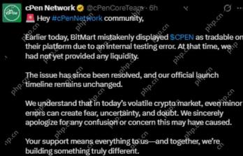 cPen Network 上市价格在发布前泄露:0.001 美元合理吗?