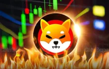 Shiba INU（SHIB）燃烧率飙升2000％，为20M令牌燃烧