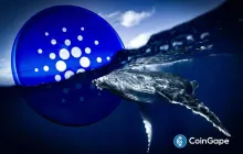Cardano（ADA）价格预测：Ada Whales会再倾倒1亿硬币吗？