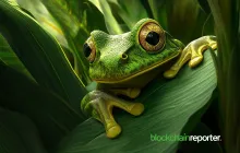 Pepe Games与Orbler合作以扩展其沉浸式Web3游戏平台