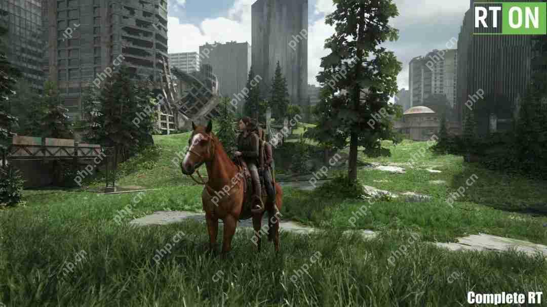 《最后的生还者2:重制版》光追MOD展示 RTX 5090