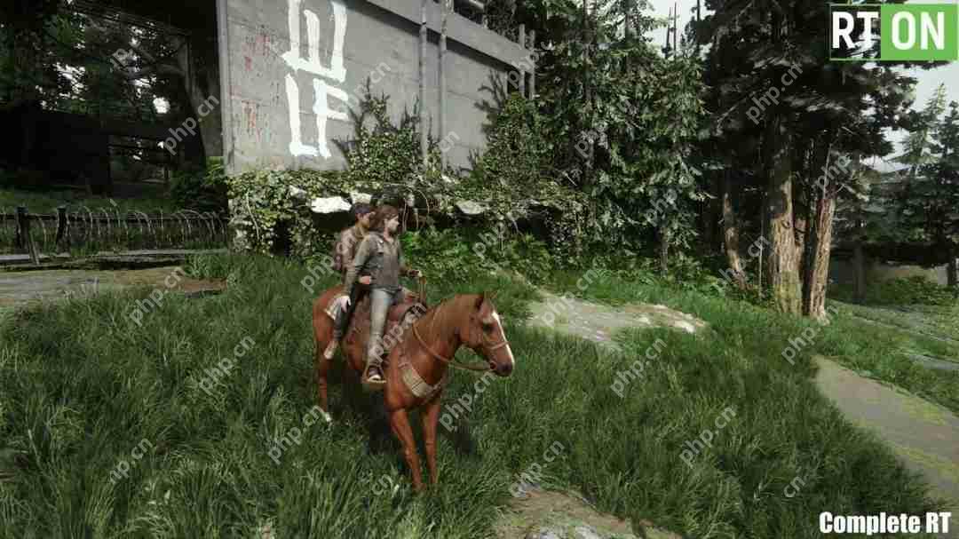 《最后的生还者2:重制版》光追MOD展示 RTX 5090