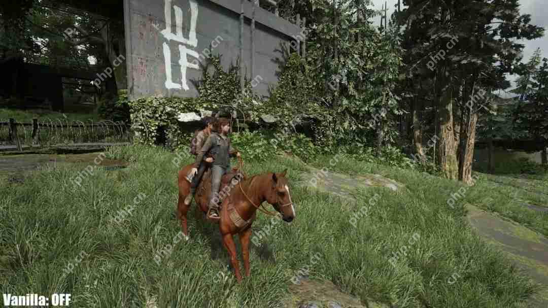 《最后的生还者2:重制版》光追MOD展示 RTX 5090