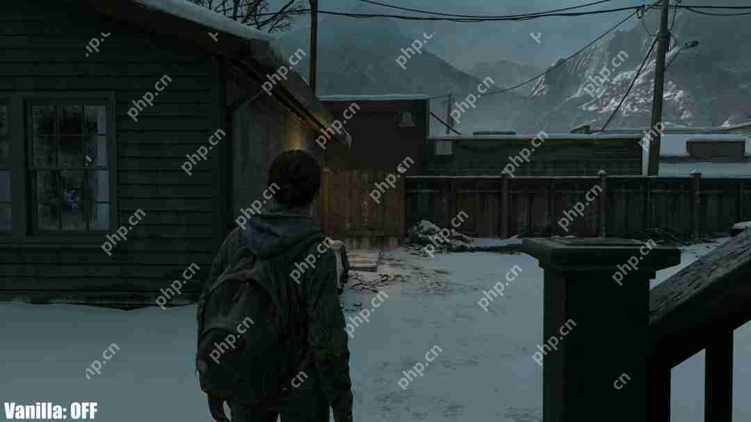 《最后的生还者2:重制版》光追MOD展示 RTX 5090