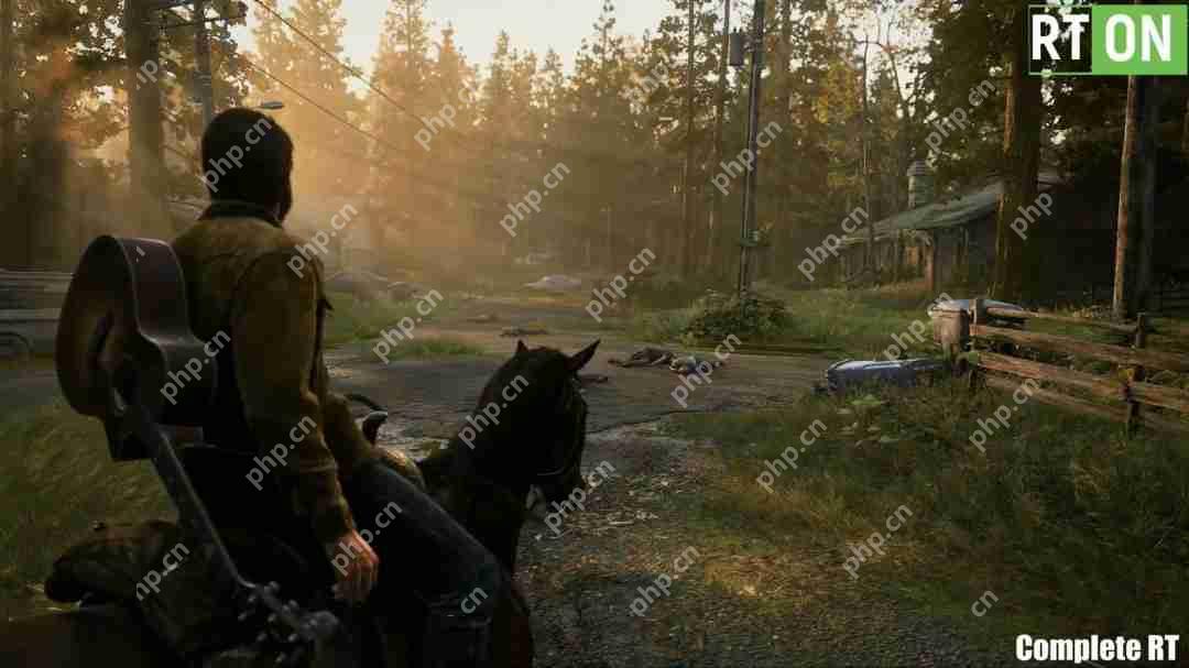 《最后的生还者2:重制版》光追MOD展示 RTX 5090