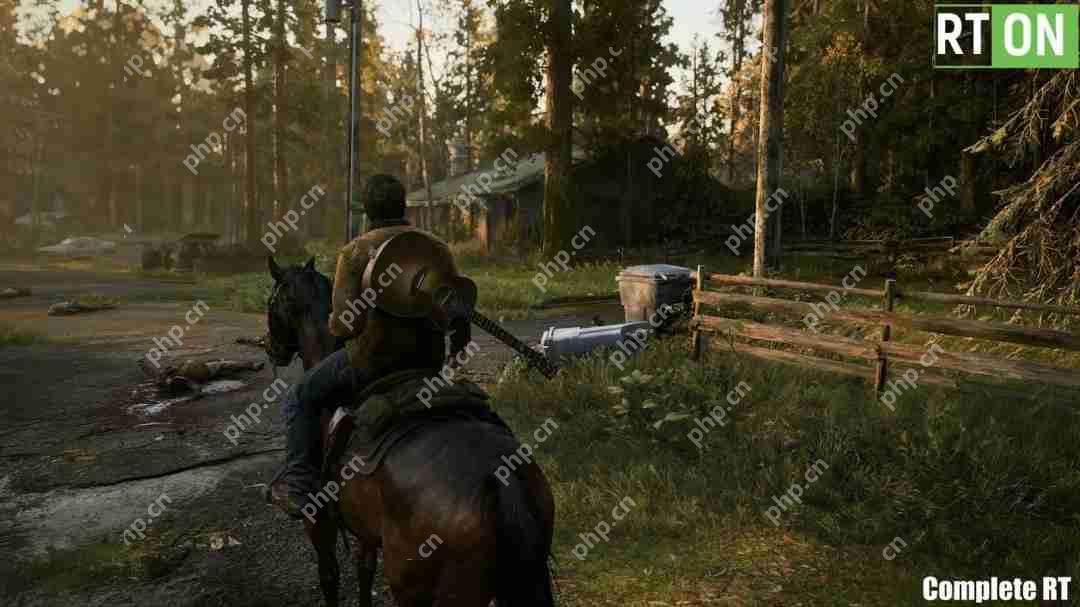 《最后的生还者2:重制版》光追MOD展示 RTX 5090