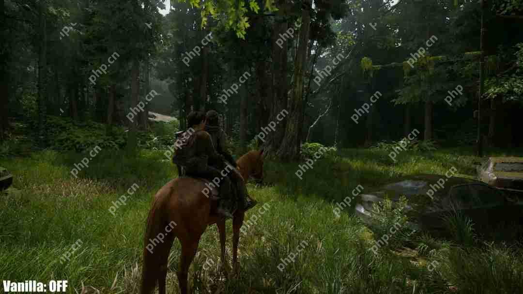 《最后的生还者2:重制版》光追MOD展示 RTX 5090