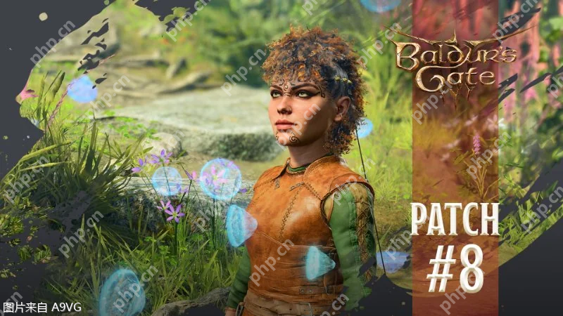 《博德之门3》最终补丁现已上线 支持跨平台游戏