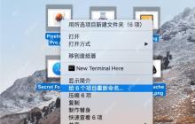 如何使用 macOS 系统自带功能进行文件批量重命名操作教程