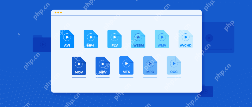 什么是视频格式?电脑常见的视频格式有哪些你知道吗?