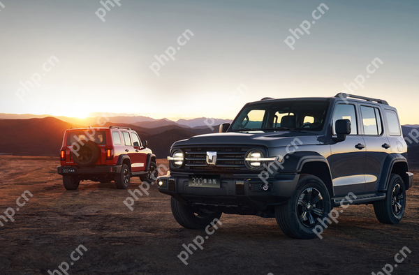 2025Q1中国越野车型销量TOP 20：前三只有坦克方程豹