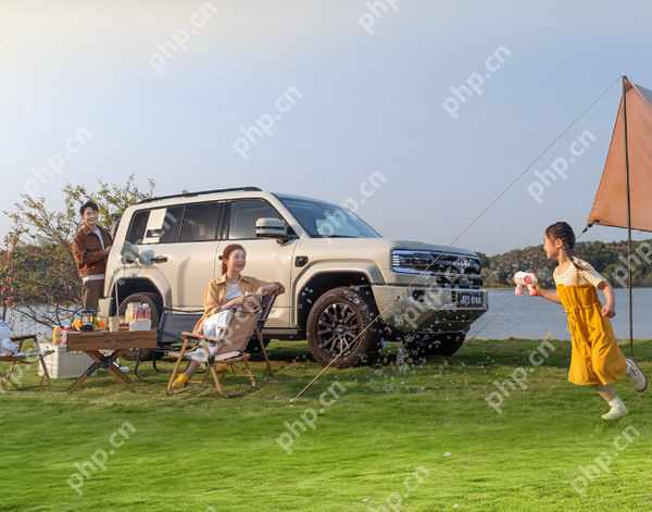 2025Q1中国越野车型销量TOP 20：前三只有坦克方程豹