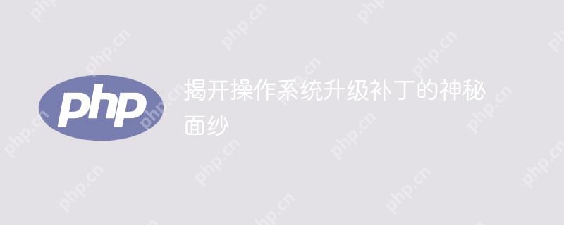 揭开操作系统升级补丁的神秘面纱