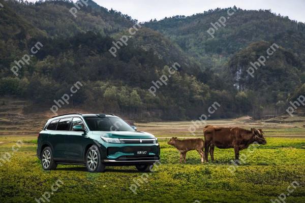 问界新M7牧野青正式上市 颜值确实高 售24.98万起