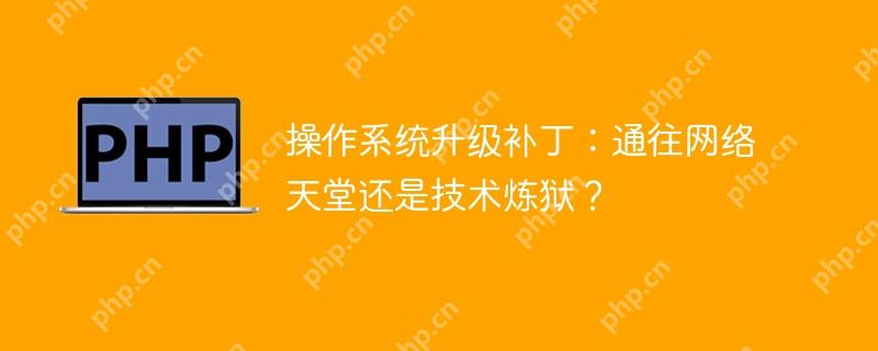 操作系统升级补丁：通往网络天堂还是技术炼狱？