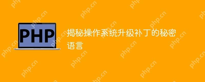揭秘操作系统升级补丁的秘密语言