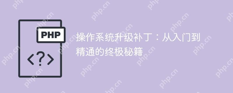操作系统升级补丁：从入门到精通的终极秘籍