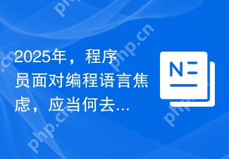 2025年，程序员面对编程语言焦虑，应当何去何从