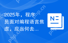 2025年，程序员面对编程语言焦虑，应当何去何从