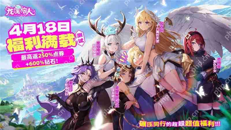 龙魂旅人职业共鸣攻略指南