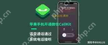 苹果CallKit如何开启
